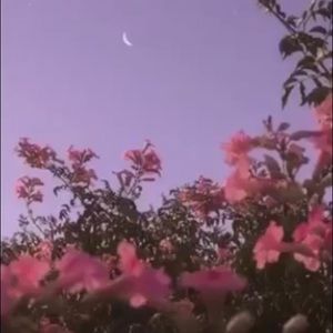 Meet your Posher, Logan